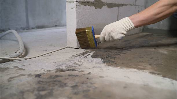 Top rated local Waterproofing specialists in Wilsonville, AL
